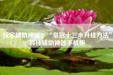 玩家辅助神器：“皇冠十三水开挂方法”科技辅助神器手机版