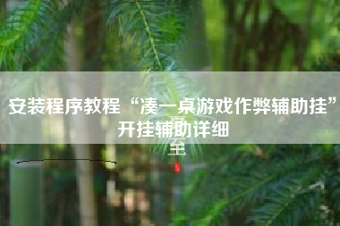 安装程序教程“凑一桌游戏作弊辅助挂”开挂辅助详细