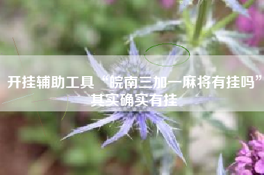 开挂辅助工具“皖南三加一麻将有挂吗”其实确实有挂