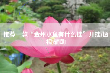 推荐一款“金州水鱼有什么挂”开挂(透视)辅助