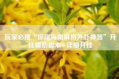 玩家必搜“琼崖海南麻将外卦神器”开挂辅助脚本+详细开挂