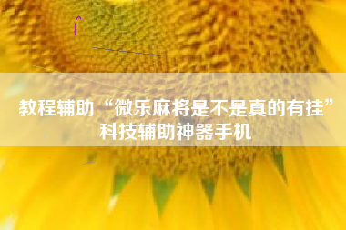 教程辅助“微乐麻将是不是真的有挂	”科技辅助神器手机