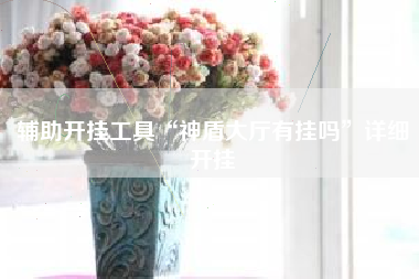 辅助开挂工具“神盾大厅有挂吗”详细开挂