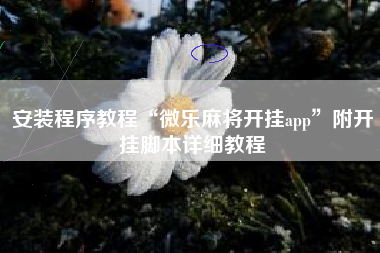 安装程序教程“微乐麻将开挂app”附开挂脚本详细教程