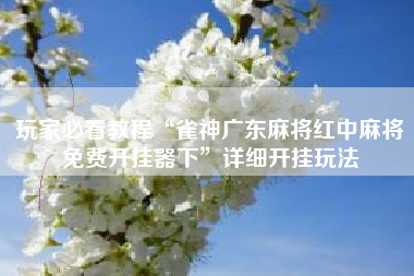 玩家必看教程“雀神广东麻将红中麻将免费开挂器下”详细开挂玩法