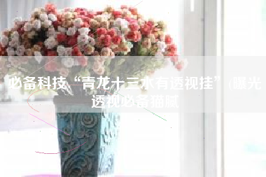 必备科技“青龙十三水有透视挂”(曝光透视必备猫腻