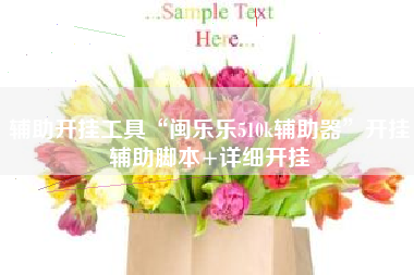 辅助开挂工具“闽乐乐510k辅助器”开挂辅助脚本+详细开挂