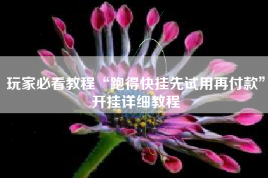 玩家必看教程“跑得快挂先试用再付款”开挂详细教程