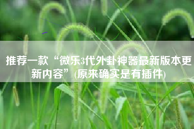 推荐一款“微乐3代外卦神器最新版本更新内容”(原来确实是有插件)