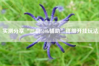 实测分享“三副510k辅助”详细开挂玩法