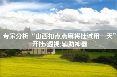 专家分析“山西扣点点麻将挂试用一天”开挂(透视)辅助神器