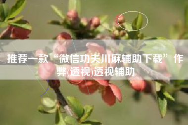 推荐一款“微信功夫川麻辅助下载”作弊(透视)透视辅助
