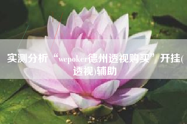 实测分析“wepoker德州透视购买”开挂(透视)辅助