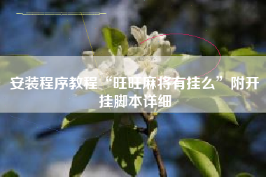 安装程序教程“旺旺麻将有挂么	”附开挂脚本详细