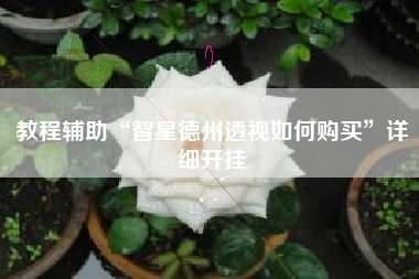 教程辅助“智星德州透视如何购买	”详细开挂