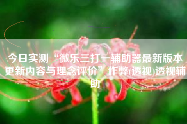 今日实测“微乐三打一辅助器最新版本更新内容与理念评价”作弊(透视)透视辅助