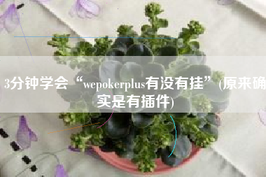 3分钟学会“wepokerplus有没有挂	”(原来确实是有插件)