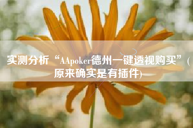 实测分析“AApoker德州一键透视购买”(原来确实是有插件)