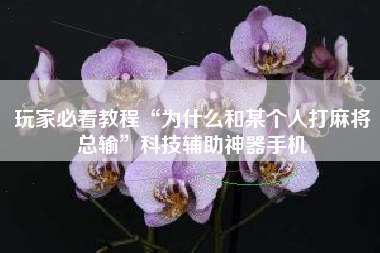 玩家必看教程“为什么和某个人打麻将总输”科技辅助神器手机