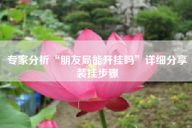 专家分析“朋友局能开挂吗”详细分享装挂步骤