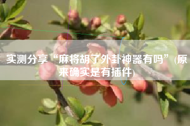 实测分享“麻将胡了外卦神器有吗”(原来确实是有插件)