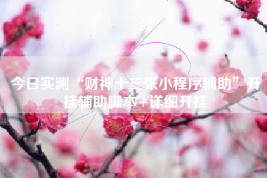 今日实测“财神十三张小程序辅助”开挂辅助脚本+详细开挂