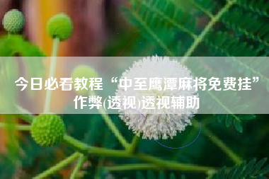 今日必看教程“中至鹰潭麻将免费挂”作弊(透视)透视辅助