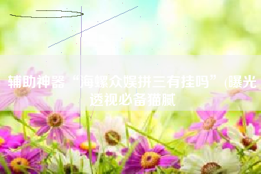 辅助神器“海螺众娱拼三有挂吗”(曝光透视必备猫腻