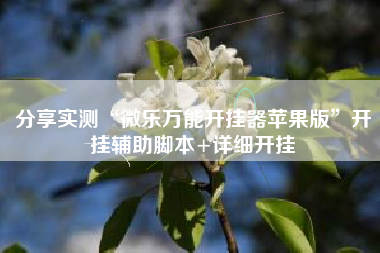 分享实测“微乐万能开挂器苹果版”开挂辅助脚本+详细开挂