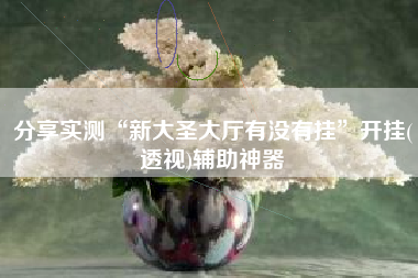 分享实测“新大圣大厅有没有挂”开挂(透视)辅助神器