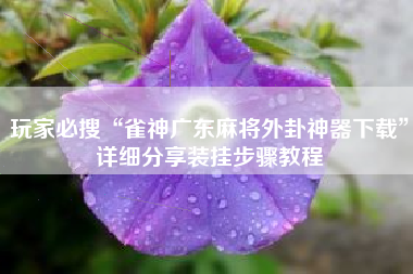 玩家必搜“雀神广东麻将外卦神器下载	”详细分享装挂步骤教程