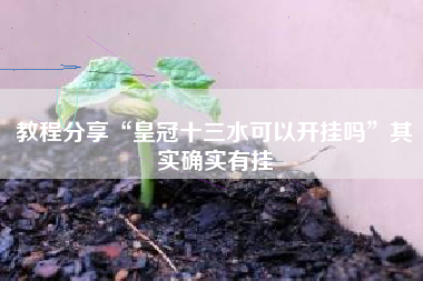 教程分享“皇冠十三水可以开挂吗	”其实确实有挂