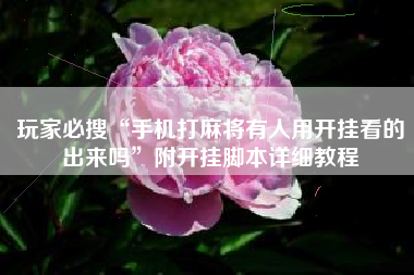 玩家必搜“手机打麻将有人用开挂看的出来吗”附开挂脚本详细教程