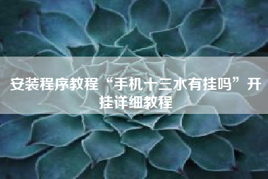 安装程序教程“手机十三水有挂吗	”开挂详细教程