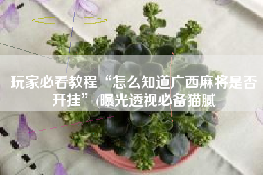 玩家必看教程“怎么知道广西麻将是否开挂”(曝光透视必备猫腻