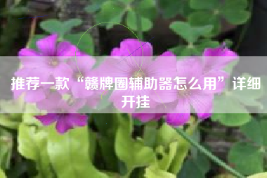 推荐一款“赣牌圈辅助器怎么用”详细开挂