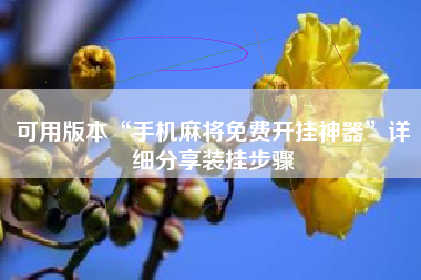 可用版本“手机麻将免费开挂神器	”详细分享装挂步骤