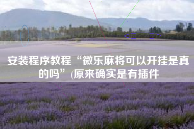 安装程序教程“微乐麻将可以开挂是真的吗”(原来确实是有插件