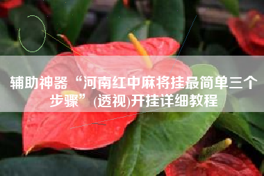 辅助神器“河南红中麻将挂最简单三个步骤”(透视)开挂详细教程