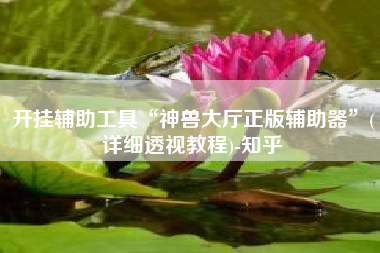 开挂辅助工具“神兽大厅正版辅助器	”(详细透视教程)-知乎