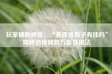 玩家辅助神器：“麦穗推筒子有挂吗”揭秘透视辅助万能挂用法