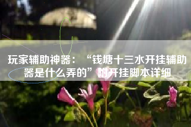 玩家辅助神器：“钱塘十三水开挂辅助器是什么弄的”附开挂脚本详细