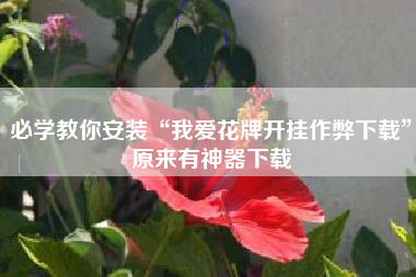 必学教你安装“我爱花牌开挂作弊下载”原来有神器下载