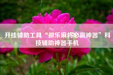 开挂辅助工具“微乐麻将必赢神器”科技辅助神器手机