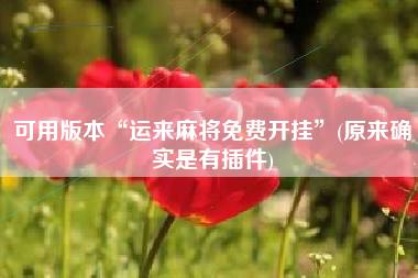 可用版本“运来麻将免费开挂”(原来确实是有插件)