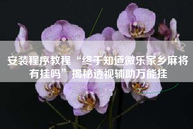 安装程序教程“终于知道微乐家乡麻将有挂吗	”揭秘透视辅助万能挂