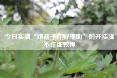 今日实测“跑胡子作弊辅助”附开挂脚本详细教程