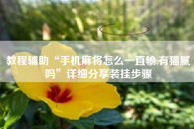 教程辅助“手机麻将怎么一直输,有猫腻吗	”详细分享装挂步骤