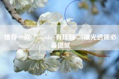 推荐一款“uupoker有挂吗”(曝光透视必备猫腻