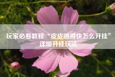 玩家必看教程“皮皮跑得快怎么开挂	”详细开挂玩法